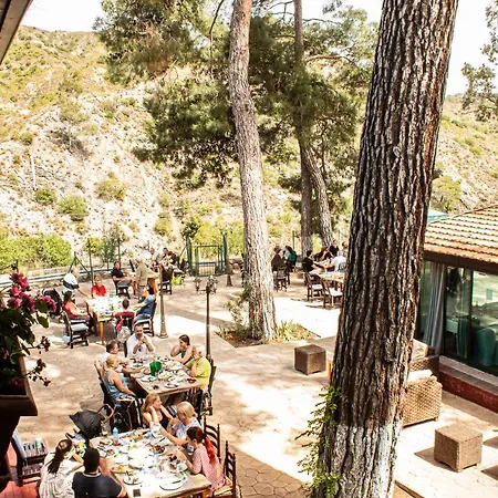 New Okella At Saittas