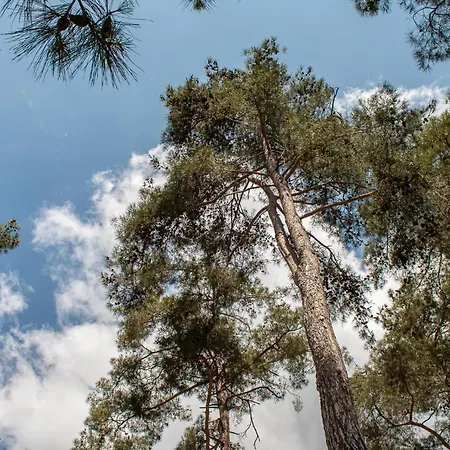 New Okella At Saittas