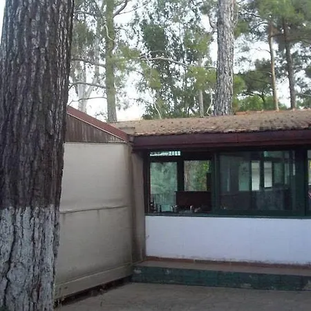 New Okella At Otel *