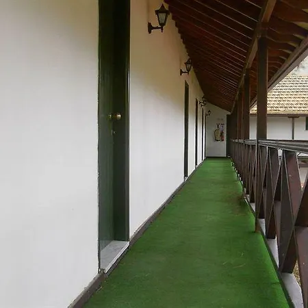 New Okella At * Saittas