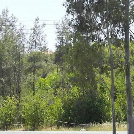 New Okella At * Saittas