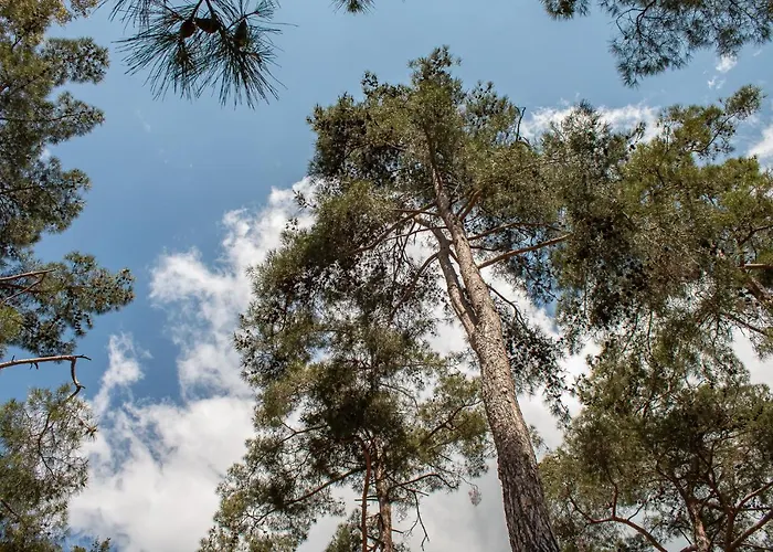 New Okella At Σαΐτας