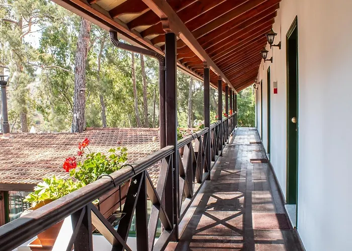 Ξενοδοχείο New Okella At