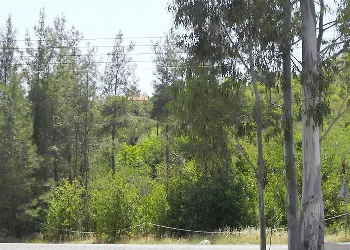 New Okella At * Σαΐτας